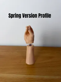 Spring Version