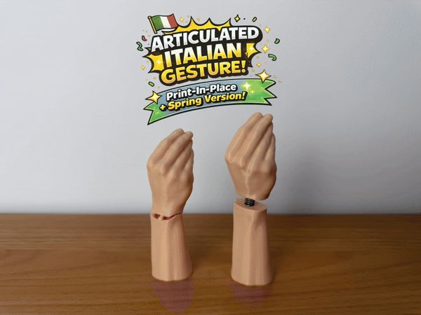 https://makerworld.bblmw.com/makerworld/model/US51f27fa536387c/design/9dc13dd9dcdad5e4.gif