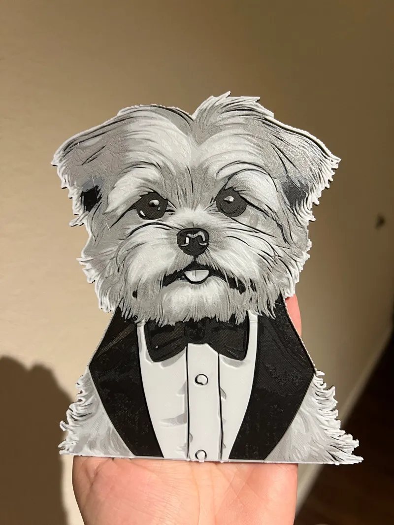 Shorkie In A Tux