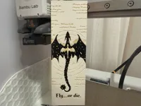 0.08mm layer, 2 walls, 100% infill
