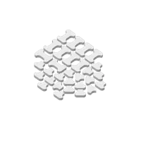 Bones (x10 full - x20 half)