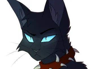 scourge from warrior cats