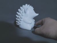 白色PETG，0.12MM层高，2层墙，95%填充