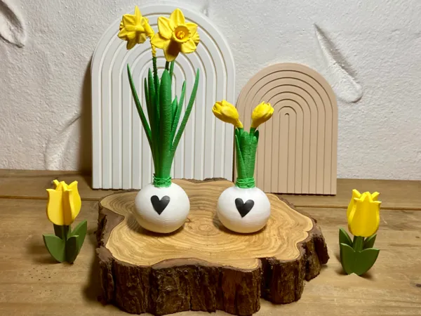 https://makerworld.bblmw.com/makerworld/model/US520379e768269c/design/d81ce3058215a1fd.jpeg