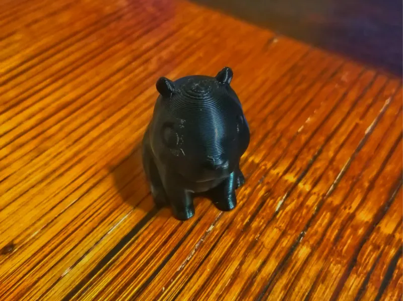 Capibara