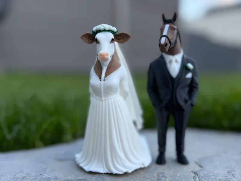 Tierische Hochzeitsfiguren, Bräutigam & Braut