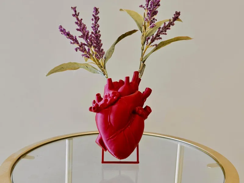 FORMA - CUORE - VASO ANATOMICO CUORE