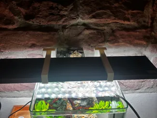 Chihiros WRGB II Aqarium Halterung