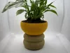 0.2mm layer, 3 walls, 15% infill