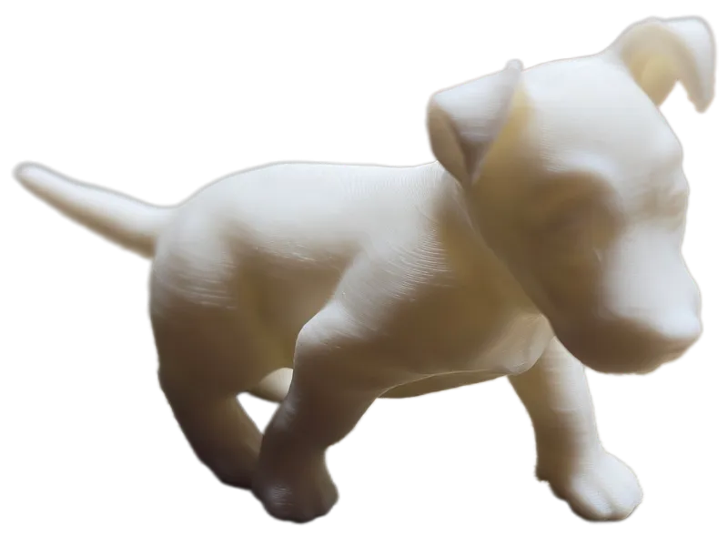 Puppy 