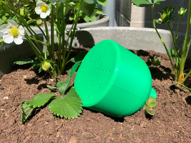 Rain watering can