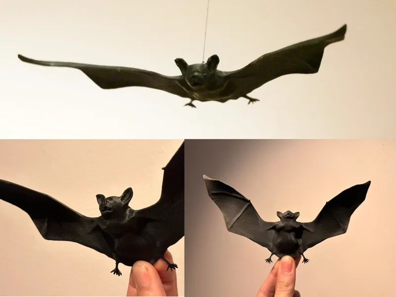 Suspended Bat Model