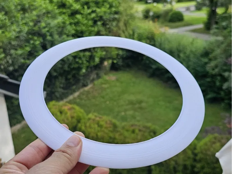 Frisbee