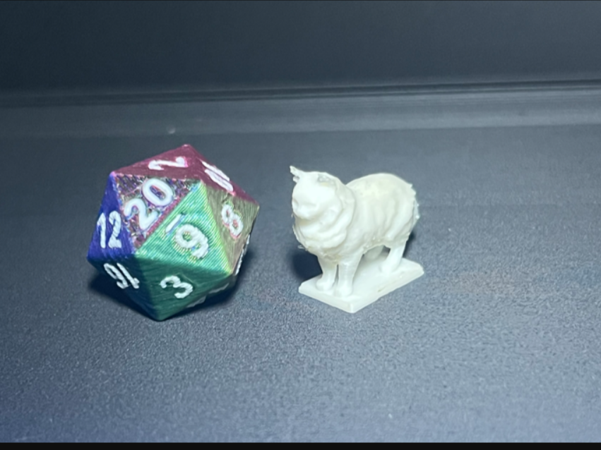 D&D-Pet-Katze
