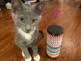 TELEPHONE CORD SCRATCHING POST Cats & Kittens!