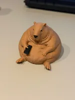 2 colors, 0.2mm layer, 2 walls, 5% infill