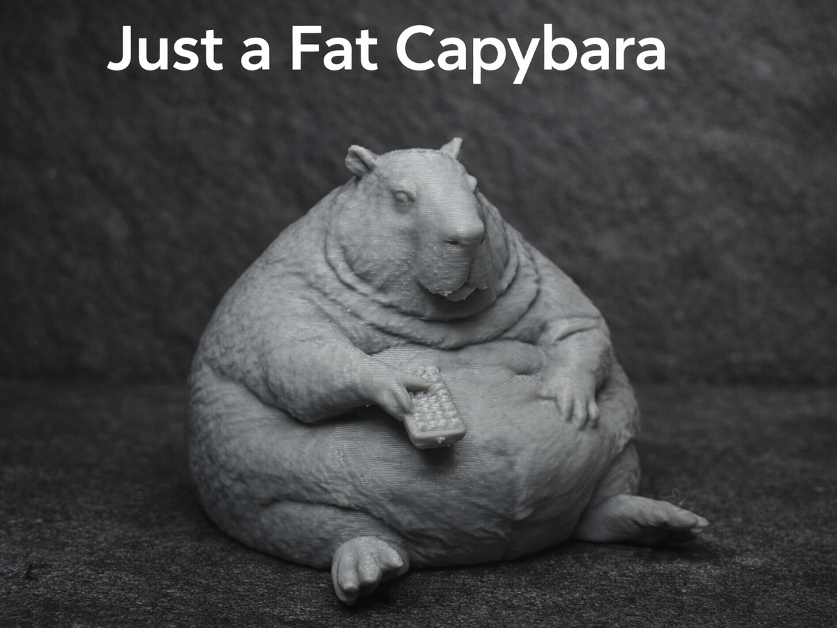 Juste un gros CAPYBARA – Inutile mais nécessaire