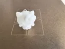 白模 0.16mm layer, 2 walls, 10% infill