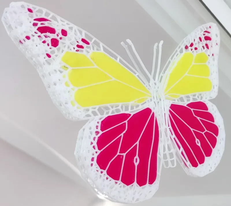 Colorful Butterfly
