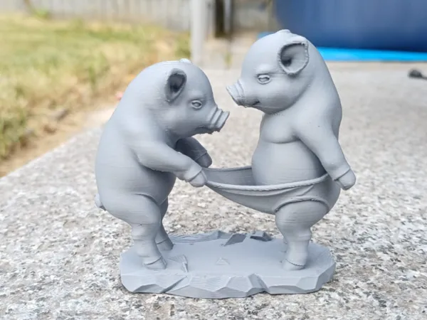 https://makerworld.bblmw.com/makerworld/model/US5231017172f9bf/design/2025-08-31_7f1a424060eec.jpg