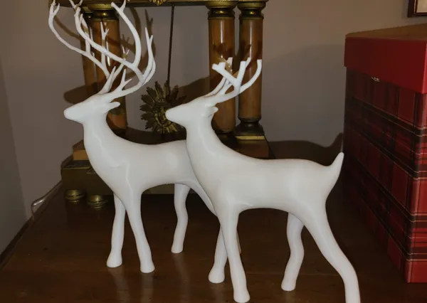 https://makerworld.bblmw.com/makerworld/model/US5232cac001637f/design/2024-12-12_cbe9f5280ce67.jpg
