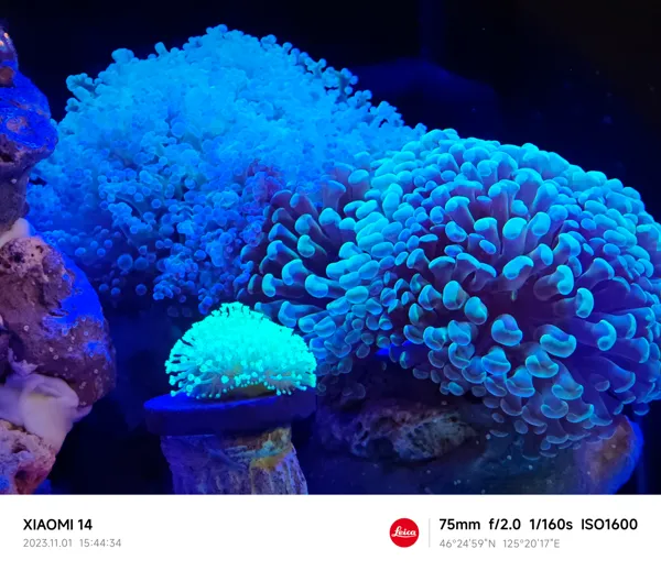 https://makerworld.bblmw.com/makerworld/model/US52348ad5916fc1/design/2023-11-05_631190239fb21.jpg