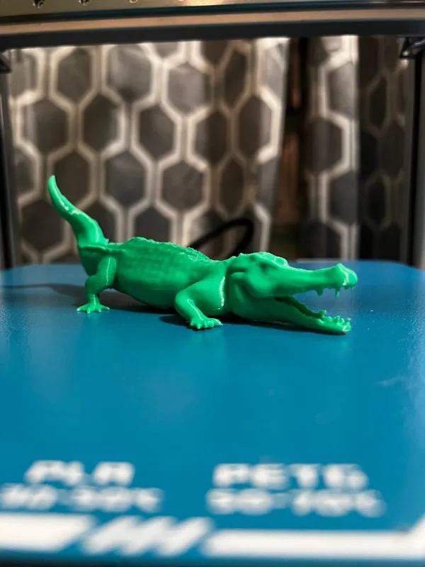 https://makerworld.bblmw.com/makerworld/model/US5235a3f14e50b0/design/2024-12-17_1b5c221c2df9f.jpg