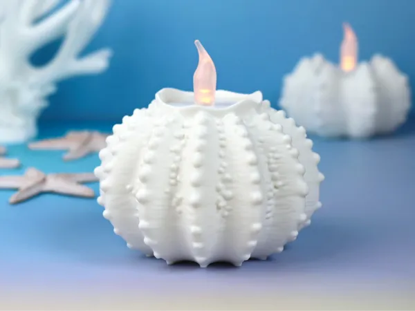 https://makerworld.bblmw.com/makerworld/model/US5238c8f1651530/design/2025-06-24_03751fe642ebf8.jpg