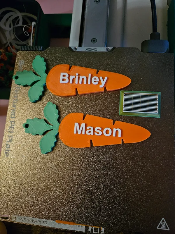 https://makerworld.bblmw.com/makerworld/model/US523cf2ff4e7371/design/2024-03-21_4aa56dfa7d657.jpg