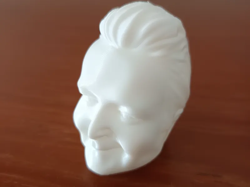 Hasbulla Magomedov Bust