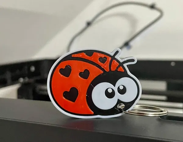 https://makerworld.bblmw.com/makerworld/model/US524e8cdd06f507/design/2023-09-24_f63c72475f158.jpg