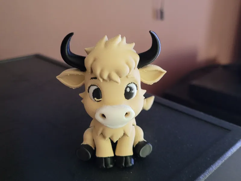 highland cow