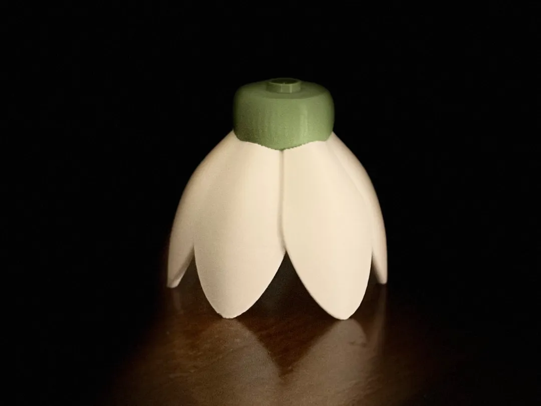 Snowdrop Lampshade for Herrnhuter Mini - Free 3D Print Model - MakerWorld