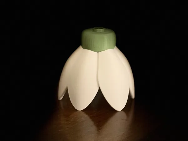 https://makerworld.bblmw.com/makerworld/model/US52534d8686799e/design/0dd8677e5b02c980.jpeg