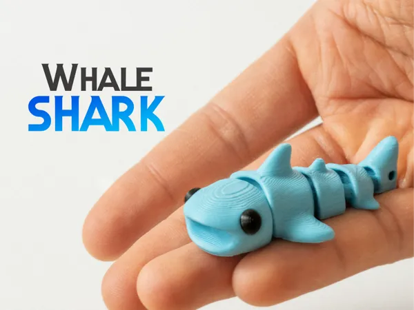 https://makerworld.bblmw.com/makerworld/model/US5256195c0db750/design/2025-07-05_47c0a301359a38.jpg
