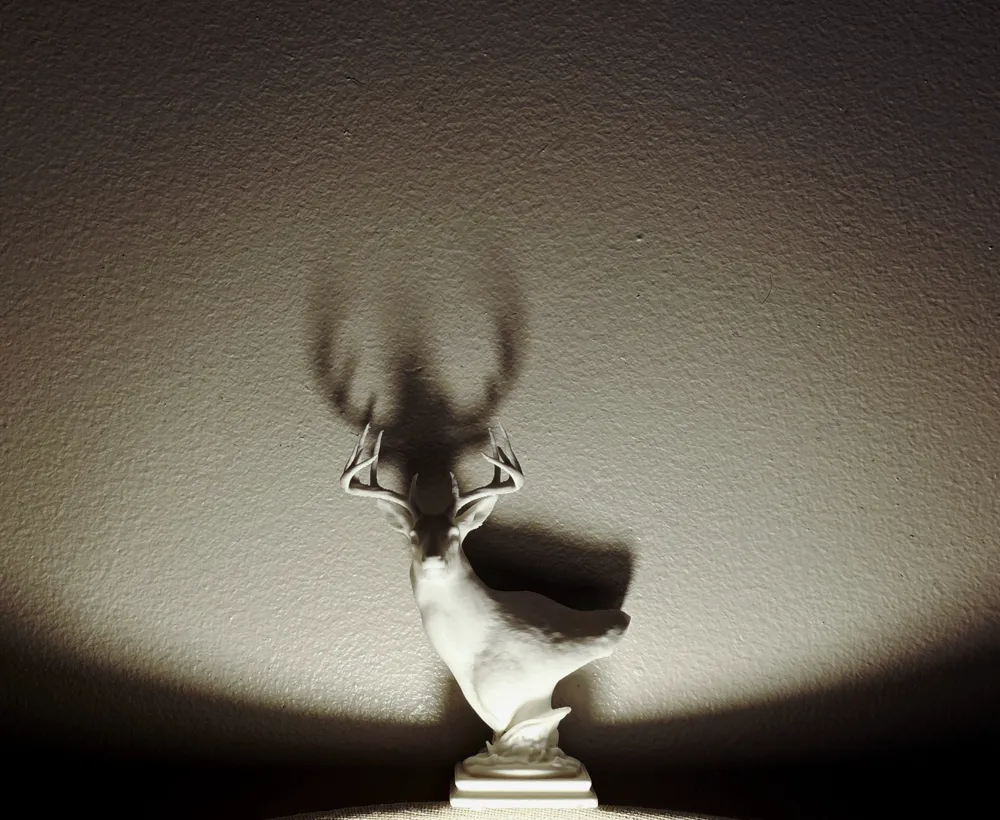 Wildgame Trophy Buck Tee main image 0