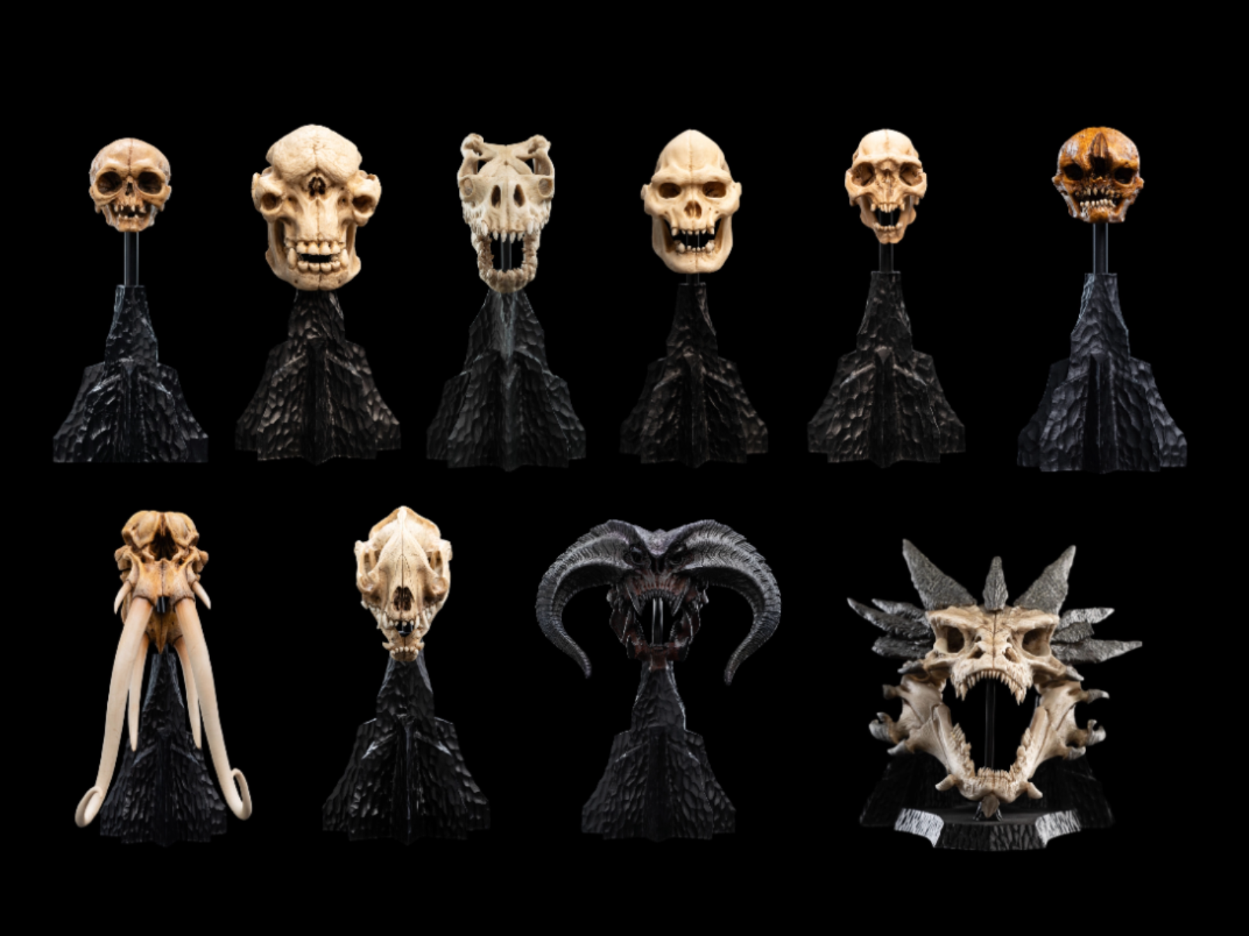 SKULLS FROM THE WORLD OF THE LORD OF THE RINGS