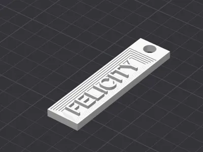 Felicity keyring
