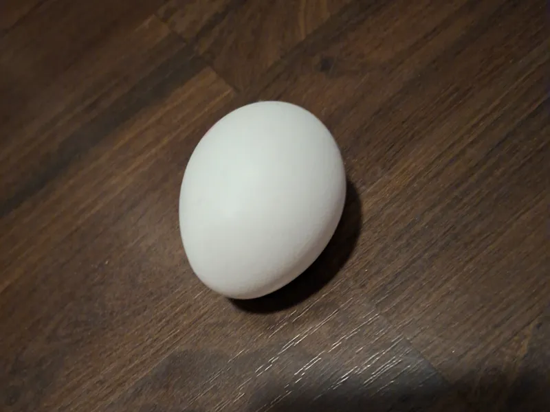 3D Eggs