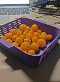 Petite corbeille à fruits — photo 2