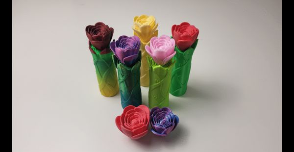 https://makerworld.bblmw.com/makerworld/model/US526a959fd350bb/design/2024-01-21_ce3aad925fc66.gif