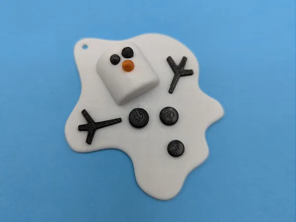 https://makerworld.bblmw.com/makerworld/model/US526ca19d599972/design/2024-11-20_c2cece3fb1e7.jpg
