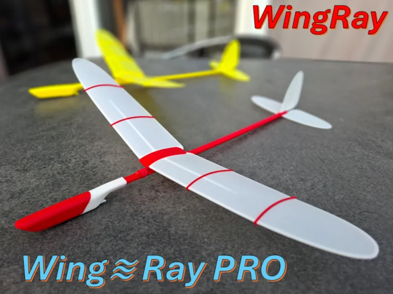 Free-flight glider "WingRay"