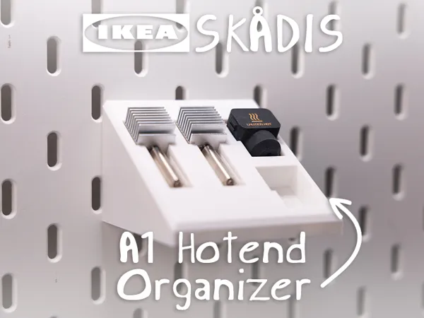 https://makerworld.bblmw.com/makerworld/model/US526e35528bf199/design/2025-07-13_572d058167e9e.jpg