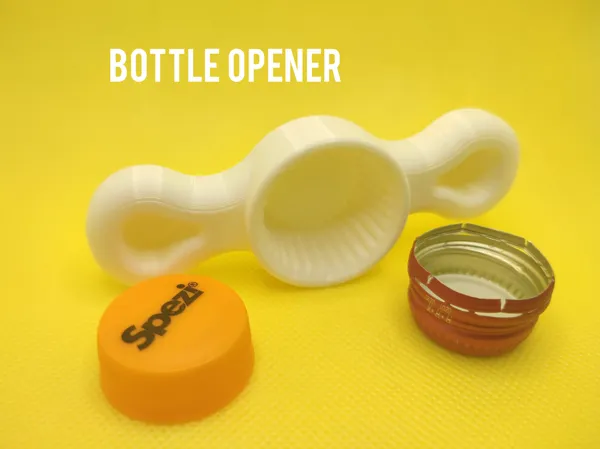https://makerworld.bblmw.com/makerworld/model/US527161068bef0d/design/2023-12-04_aab355f88b87a.jpg