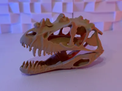 Ceratosaurus Skull (10-25 Grams)