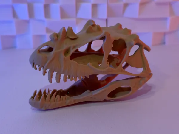 https://makerworld.bblmw.com/makerworld/model/US52731cdad1d7b9/design/2025-07-22_65ada8f5b4ba78.jpeg
