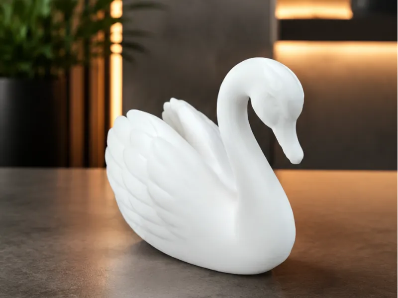 Swan animal