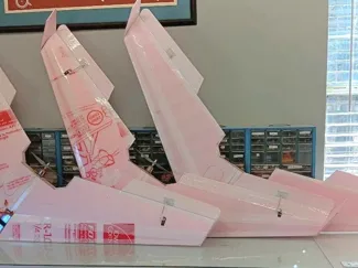 Paintball Wing