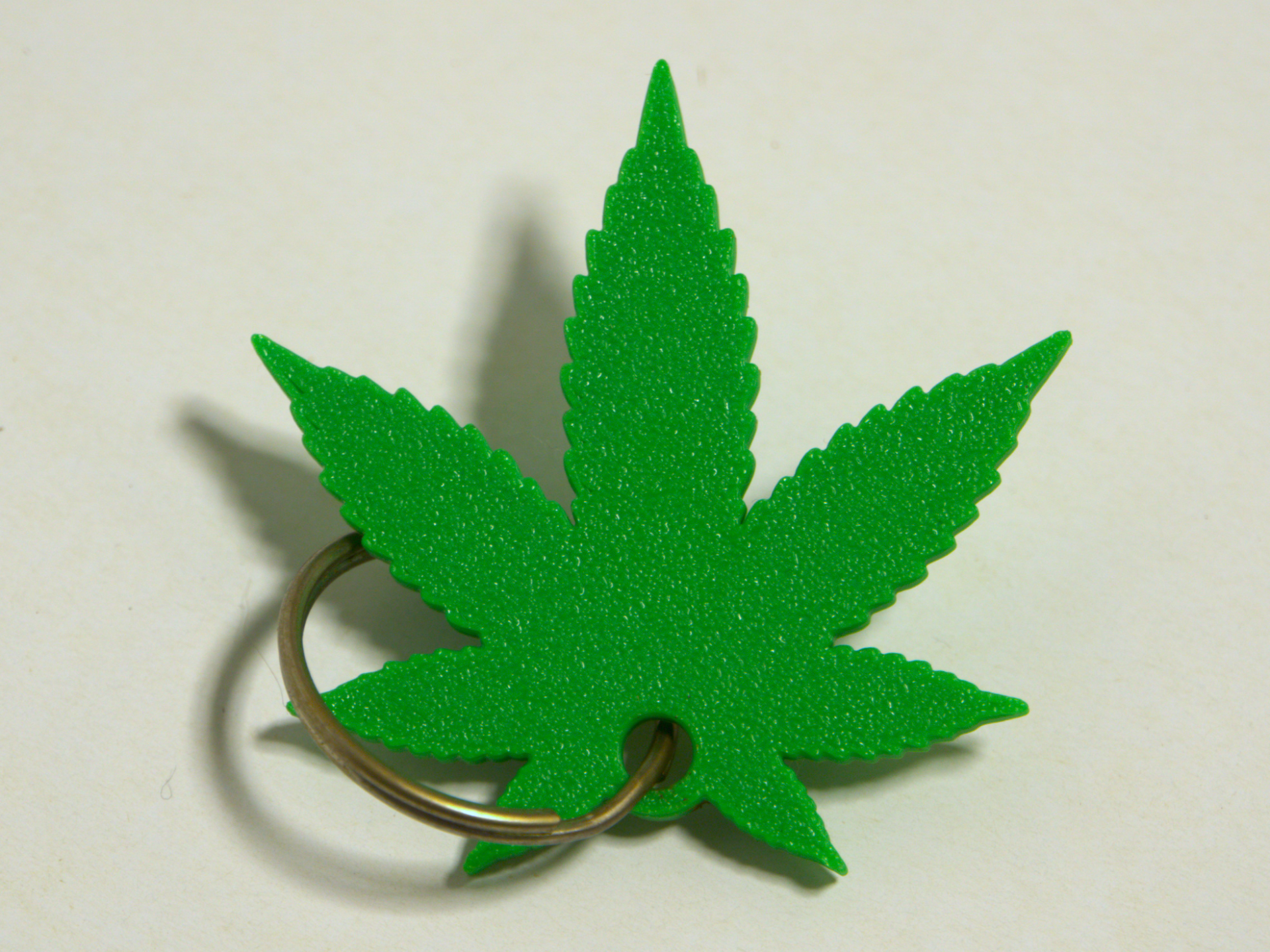Botanical Leaf Keychain (50mm) | No Supports